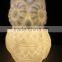 LED colorchanging owl holiday light