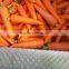 China New Crop Fresh Carrot in High Quality