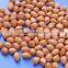 50/60 JAVA PEANUT KERNEL BEST QUALITY