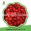 Iqf Frozen Organic Strawberry,Frozen Strawberries Brands Box Frozen Strawberries