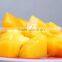 Wholesale new crop healthy fruit canned pineapple in syrup
