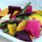 Dehydrated Mixed Fruit & Vegetable chips VF Healthy snacks