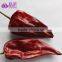 Baked Red Mild Taste Drying Chili Peppers Bulk