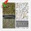 2014 Inner Mongolia Pumpkin Seed Kernels