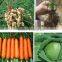 Fertilizer prices seaweed liquid organic fertilizer