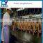 halal slaughter house /poultry slaughting machinery