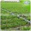 Best Selling Agriculture Greenhouse Drip Irrigation Tape