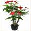 Fake Flower Plant Wholesale Bonsai Plants Plastic Anthuriums Plants for Sale