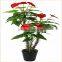 fake flower plant wholesale bonsai plants plastic anthuriums plants for sale