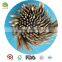 disposable bamboo skewer, bamboo sticks,round bamboo sticks