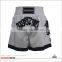 China Factory Cheap Price Vale Tudo Fight Shorts Jogging