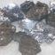 Lead Ore, Lead Concentrate, Galena Ore, Lead Ore Lumps.