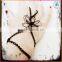 Wholesale Fashion Black Chain Handflower Midnight Flower Strange Jewelry Ring Bracelet