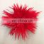 fast shipping red ostrich feather from south Africa