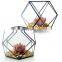 geometric terrarium geometric glass terrarium wholesale