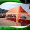 New Style Double Peak Different Color Star Shaped Tent/Large Event Tent/Marquee Tent