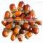 High Quality Acorn Huller Machine Acorn Sheller Machine