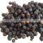Dried pepper kernel from Vietnam