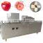 Automatic Apple Core Coring Pitting Kernel Remover Slicer Machine