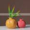 ENO Modern Morandi color ceramic pomegranate  Crafts ornaments home decor Flower vase