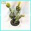25cm new design hot sale plastic succulent