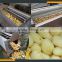 Leader new design potato washing peeling slicing machine website:leaderservice005