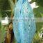 Blue plastic banana bunch cover with holes manufacturer