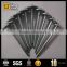 zinc coated nail/large head nail with washer/Galvanized umbrella head roofing Nails