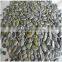 Green Pumpkin Seeds and Bulk Pumpkin Seeds GWS