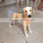 Fashion FRP lifelike animal dog mannequin