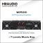 M2500 two channels Amplifer with DSP Processor