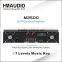 M2500 two channels Amplifer with DSP Processor