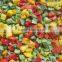 frozen IQF Red pepper strips and dice with BRC certificate