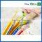 Advertising fluorescent ball pen for art school