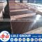 shuttering plywood