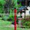 Holland wire mesh PVC coated welded wire mesh in rolls