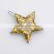 Body Jewelry Silver Gold Star Druzy Brooch Pins