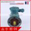 Professional Y2 Series Three Phase Electric Motor Induction Ex Motor With CE Certificate