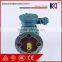 High Efficiency 3 Phase High Voltage Explosion Proof Ex Motor With CE Certificate