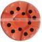 Soft Pot for Orchid 180*160mm With Holes on the Bottom 551465