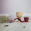 Design Cute Decoration Small Wooden Resin Tractor Flower Pot