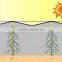 (20 years factory) new arrival, fruit cultivation shade netting 75% / 10175-150