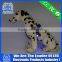 2015 Hot Selling luminous Dog Harness