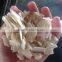 Solid 98% Magnesium Chloride Anhydrous Bulk