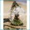  website hot christmas decoration gift round dome glass golbe handing terrarium