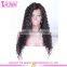 Best Selling High Quality New Design Deep Curly Human Hair Full Lace Wig With Baby Hair