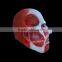 High quality Halloween Latex full head Mask/Anime Cosplay mask