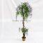 cheap artificial bean flower trees wood trunk