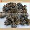 best price of black morel mushroom