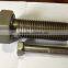 SUS321 machine screw hex jam nut stainless steel